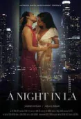 Night in LA HotShots Hot Short Film