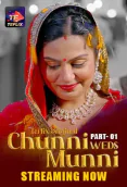 Chunni Weds Munni (E01-E03) TeFlix Hot Web Series